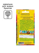 Семена Астра Кассандра  Ор. А Одн Ц/П 0,2г 10221248 - фото 2808111