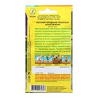 Семена Петуния Городские гиганты F1 белоснежная   Одн (драже в пробирке) Ц/П 7шт - Фото 2