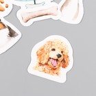 Наклейки стикеры для скрапбукинга "Собаки" 9-340 - фото 8712179