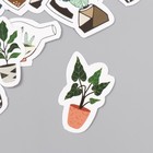 Наклейки стикеры для скрапбукинга "Кактус" 9-349 - фото 26205408