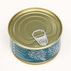 Растущий подарок травка растим дома на балконе "Микрозелень Руккола" - фото 24638019