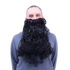 Борода, черная, 110 гр, длина 50 см - фото 320822569