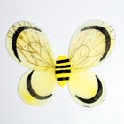 Крылья пчелки - фото 5370663