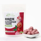 УЦЕНКА Onlylife Фундук в брусничной глазури с йогуртом, 60 г - Фото 2