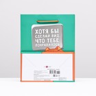 Пакет подарочный "Хотя бы сделал вид, что тебе понравилось", 18 х 22,3 х 10 см - фото 23438098