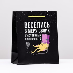 Пакет подарочный "Веселись", 18 х 22,3 х 10 см 10224105