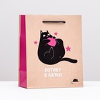 Пакет подарочный "Котику в лапки", 18 х 22,3 х 10 см - Фото 1