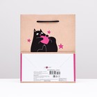 Пакет подарочный "Котику в лапки", 18 х 22,3 х 10 см - Фото 2