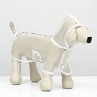 Дождевик для собак, размер XS (ДС 18, ОГ 25-30, ОШ 25 см), белый - Фото 1