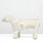 Дождевик для собак, размер XS (ДС 18, ОГ 25-30, ОШ 25 см), белый - Фото 3