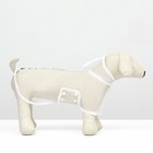 Дождевик для собак, размер XS (ДС 18, ОГ 25-30, ОШ 25 см), белый - Фото 4