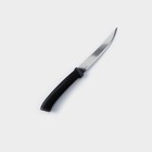 Набор кухонных ножей TRAMONTINA Felice, 2 шт, цвет черный - фото 4410664