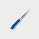 Набор кухонных ножей TRAMONTINA Felice, 2 шт, цвет синий - фото 4410671