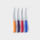 Набор кухонных ножей TRAMONTINA Athus, 4 предмета - фото 291959706