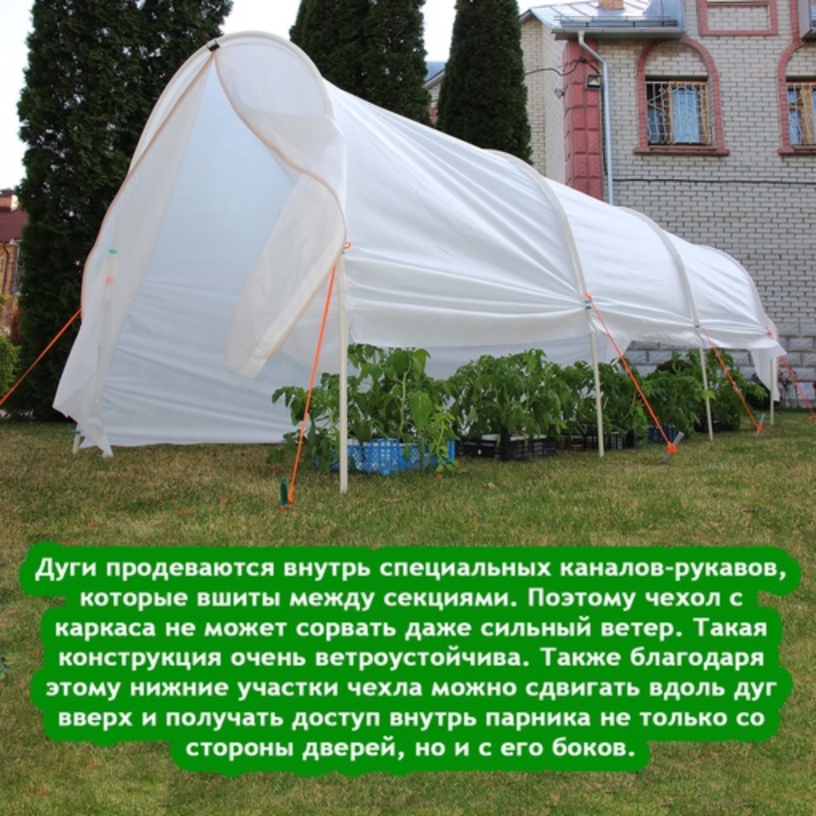 Теплица Огурец Молодец Купить На Озон