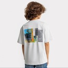 Футболка для мальчика, цвет серый лёд, рост 104-110 см - фото 23494683