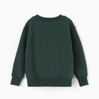 Свитшот для мальчика, цвет пихта, рост 116-122 см - фото 23494739