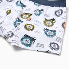 Трусы-боксеры для мальчика, цвет белый/львы, рост 122-128 см - фото 23501576