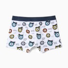 Трусы-боксеры для мальчика, цвет белый/львы, рост 122-128 см - фото 23501577