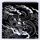 Блокнот гравюра-раскраска «Драконы в реальном мире», 19 х 19 см - Фото 3