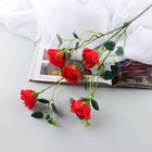 Цветы искусственные "Роза эустома" 47 см, микс - фото 11797303