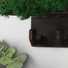 Ключница мох "Дом. Города" 24х18х7,5 см - фото 23494860