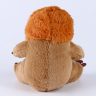 Мягкая игрушка "Ленивец", 22 см - Фото 4