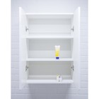 Шкафчик в ванную комнату «Айсберг. Норма 02-50», навесной, 500×289×700 мм, цвет белый - Фото 3