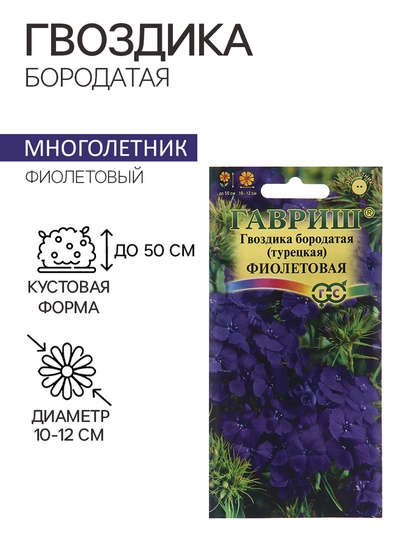 Семена гвоздика «Фиолетовая», 0.1 г