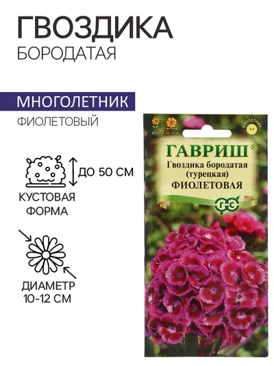 Семена гвоздика «Фиолетовая», 0.1 г
