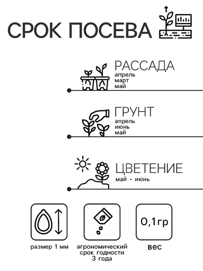 Семена гвоздика «Фиолетовая», 0.1 г