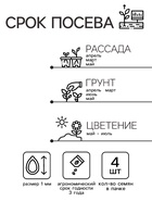 Семена Гвоздика "Черри бренди", ц/п, F1, 4 шт. - Фото 2