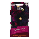 Семена Мальва "Черные глаза", ц/п, 10 шт. - Фото 5