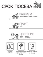 Семена Мальва "Черные глаза", ц/п, 10 шт. - Фото 2