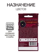 Семена Мальва "Черные глаза", ц/п, 10 шт. - Фото 3