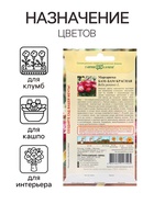 Семена Маргаритка "Бам-бам", ц/п, красная, 7 шт - Фото 3