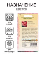 Семена Маргаритка "Весна-Красна", ц/п,  0,02 г 10217407 - фото 16288315