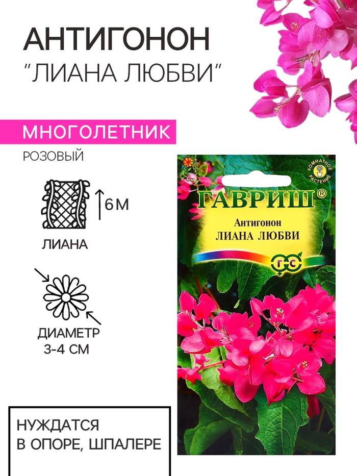 Семена Антигонон "Лиана любви", ц/п, 5 шт. - Фото 1