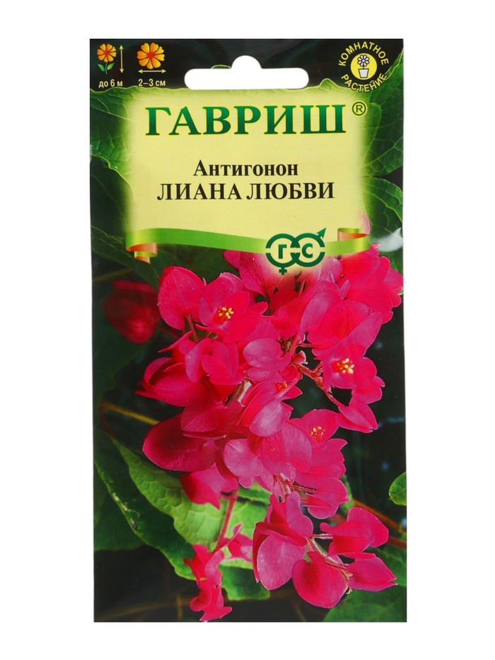 Семена цветов Антигонон «Лиана любви», 5 шт., многолетник, «Гавриш» - Фото 1