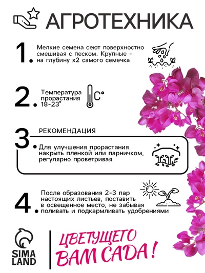 Семена цветов Антигонон «Лиана любви», 5 шт., многолетник, «Гавриш»