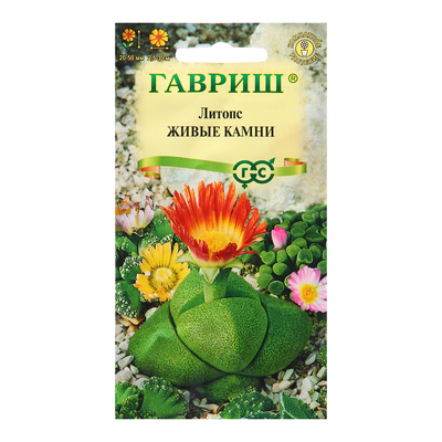 Семена комнатных цветов Литопс «Живые Камни», 5 шт., «Гавриш»
