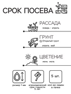 Семена Пассифлора "Маэстро", ц/п, 5 шт. - Фото 2