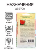 Семена Пеларгония "Луция", ц/п, F1, 4 шт. - Фото 3