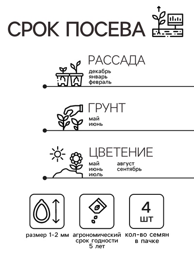 Семена Пеларгония "Найт Роуз", ц/п,  F1, 4 шт.