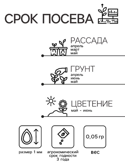 Семена Гвоздика "Грёзы", ц/п,  0,05 г