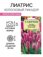 Семена цветов Лиатрис колосковый «Пикадор», 0.05 г, многолетник, «Гавриш» - Фото 1
