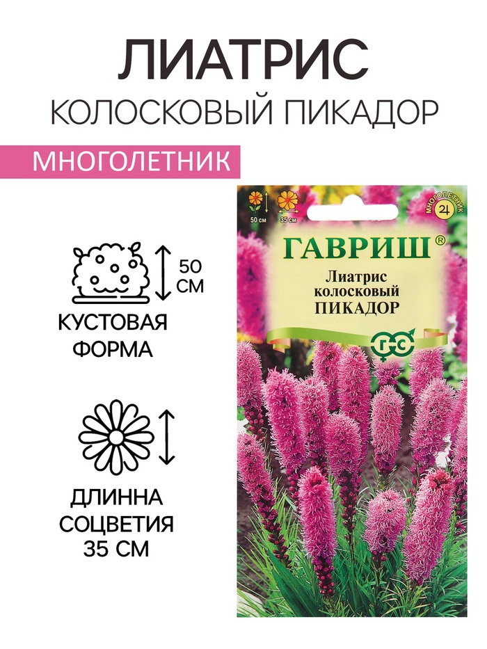 Семена цветов Лиатрис колосковый «Пикадор», 0.05 г, многолетник, «Гавриш» - Фото 1