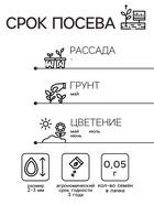 Семена цветов Лиатрис колосковый «Пикадор», 0.05 г, многолетник, «Гавриш» - Фото 2