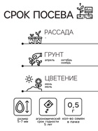 Семена Люпин «Минарет», 0.5 г, «Гавриш» - Фото 2