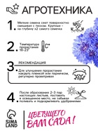 Семена Василек "Бордюрный", ц/п,  смесь, 0,2 г (комплект 2 шт) - фото 33072545